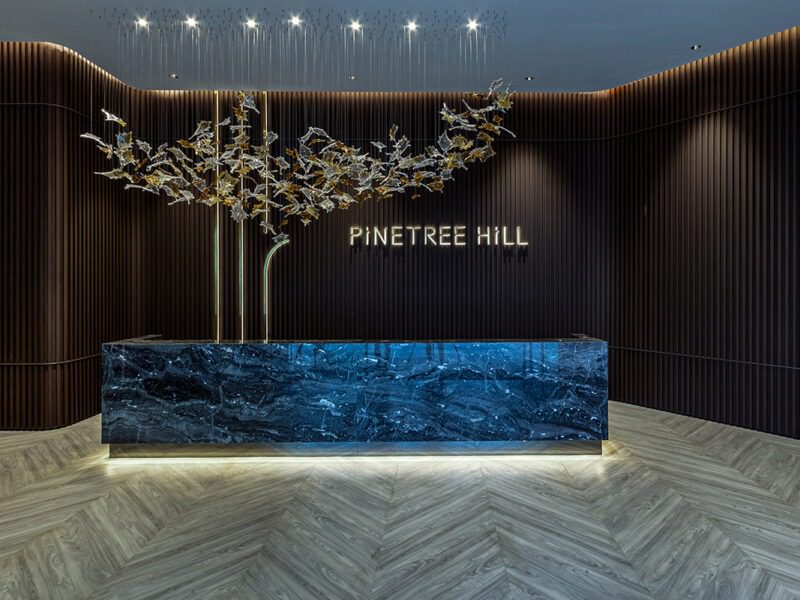 Pine Tree Hill4